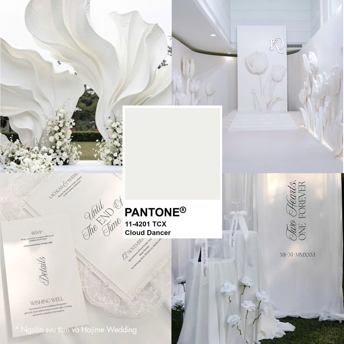 Trang trí phông cưới màu Cloud Dancer