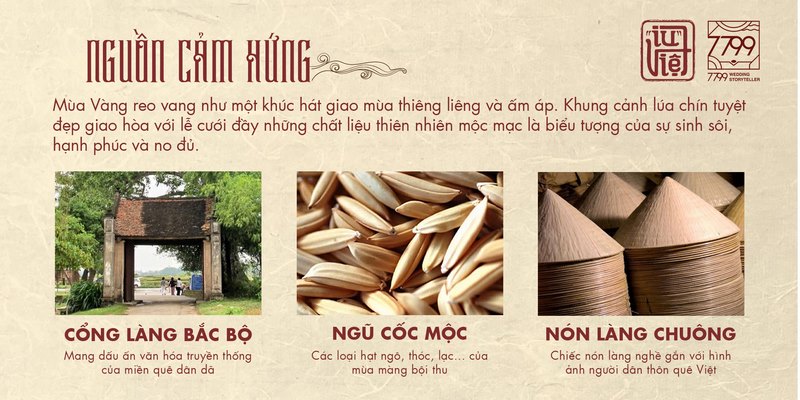 Nguồn cảm hứng concept mùa vàng