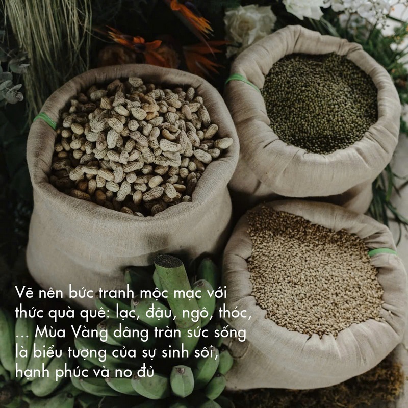Nguồn cảm hứng concept mùa vàng
