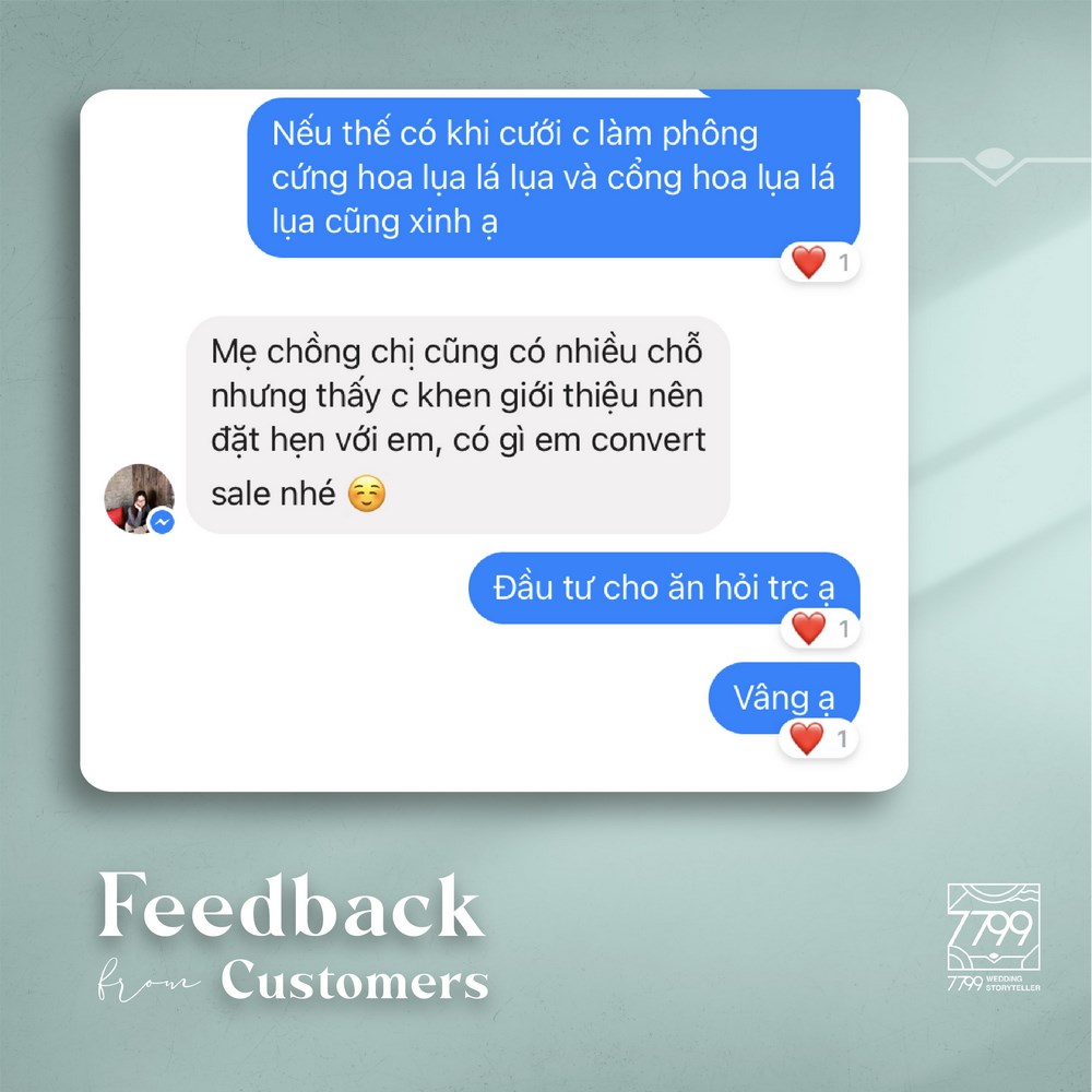 Feedback review 7799WST