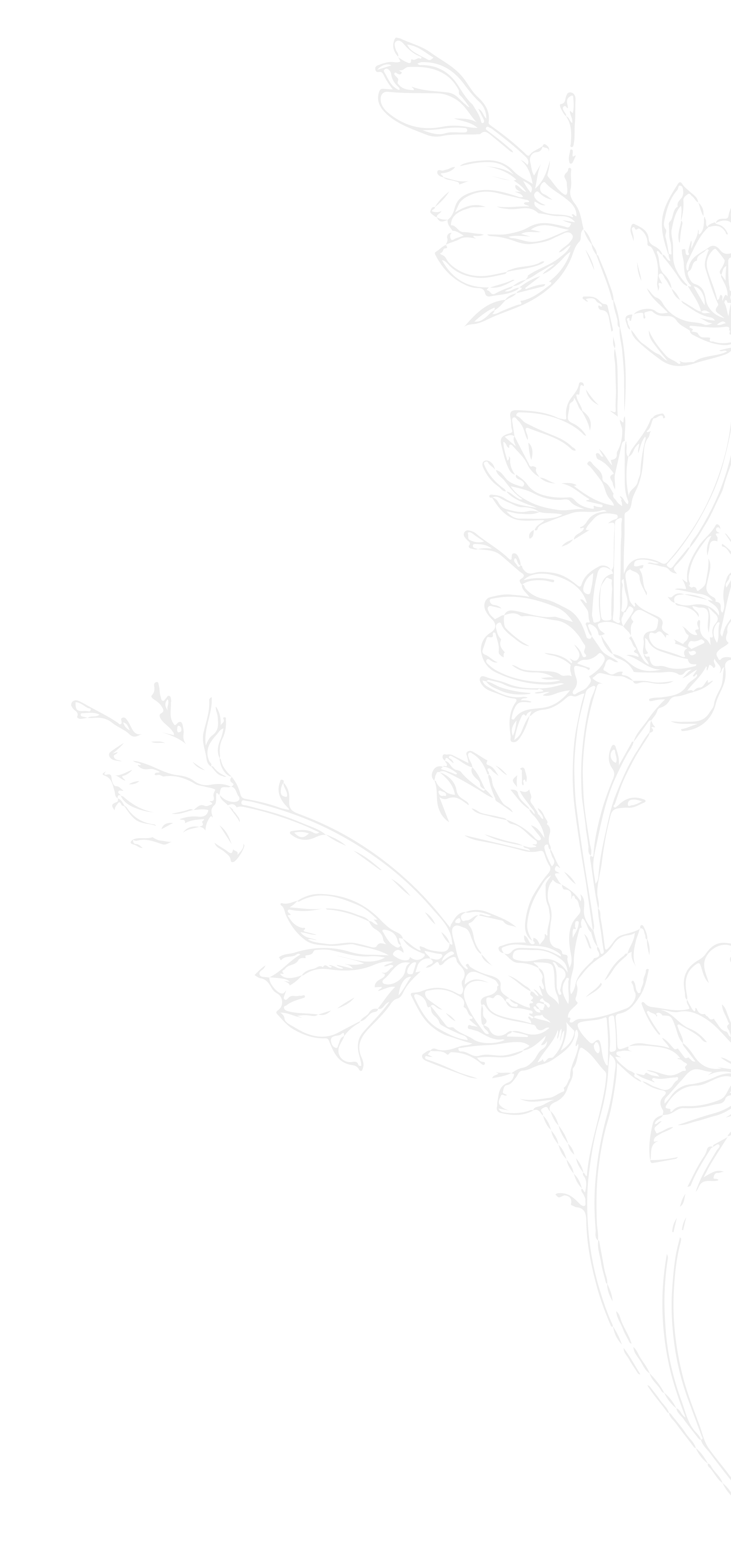 Họa tiết nền 1 (Trang chủ - 1920x4116)